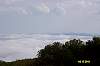 carolina0381.JPG
